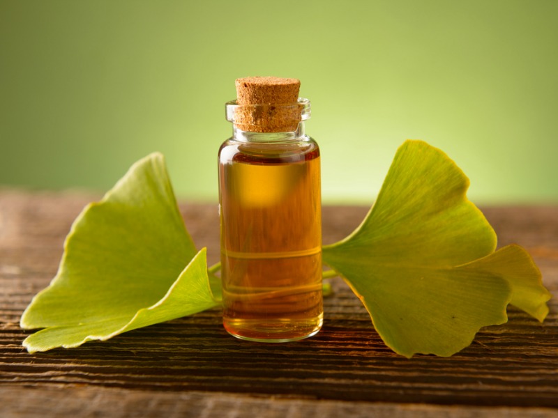 Gingko Biloba Supplement Review