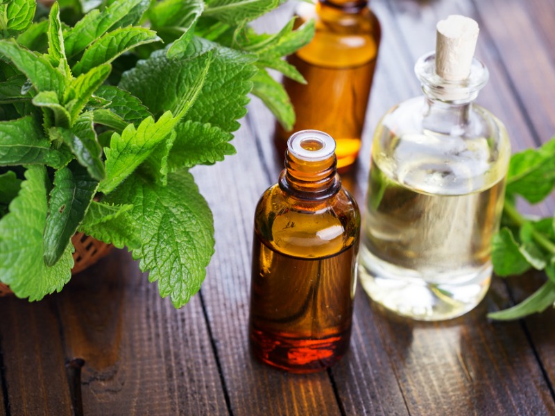 Aromatherapy Focus – Peppermint Oil