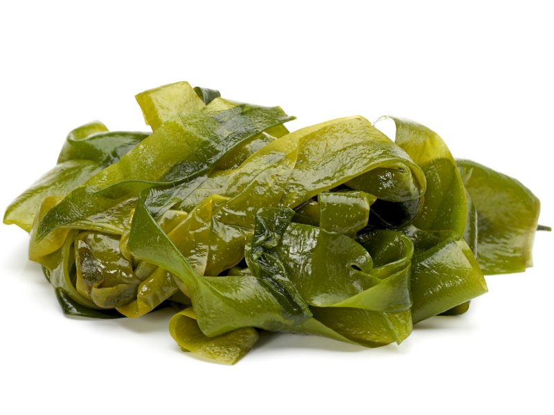 Kelp Seaweed – Superfood Focus