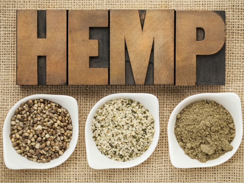 Hemp Seeds – Super Food Focus