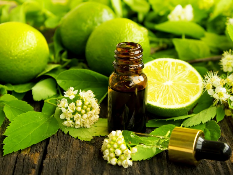 Lime Oil – Aromatherapy Focus
